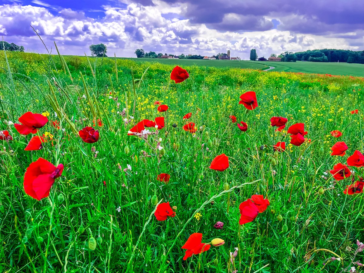 Watchdog_MP's tweet photo. @PierrePoilievre @piper_frank Lest We Forget 🍁 
#VimyRidge 🇨🇦 🇬🇧 🇫🇷 https://t.co/XgFqHosyDp