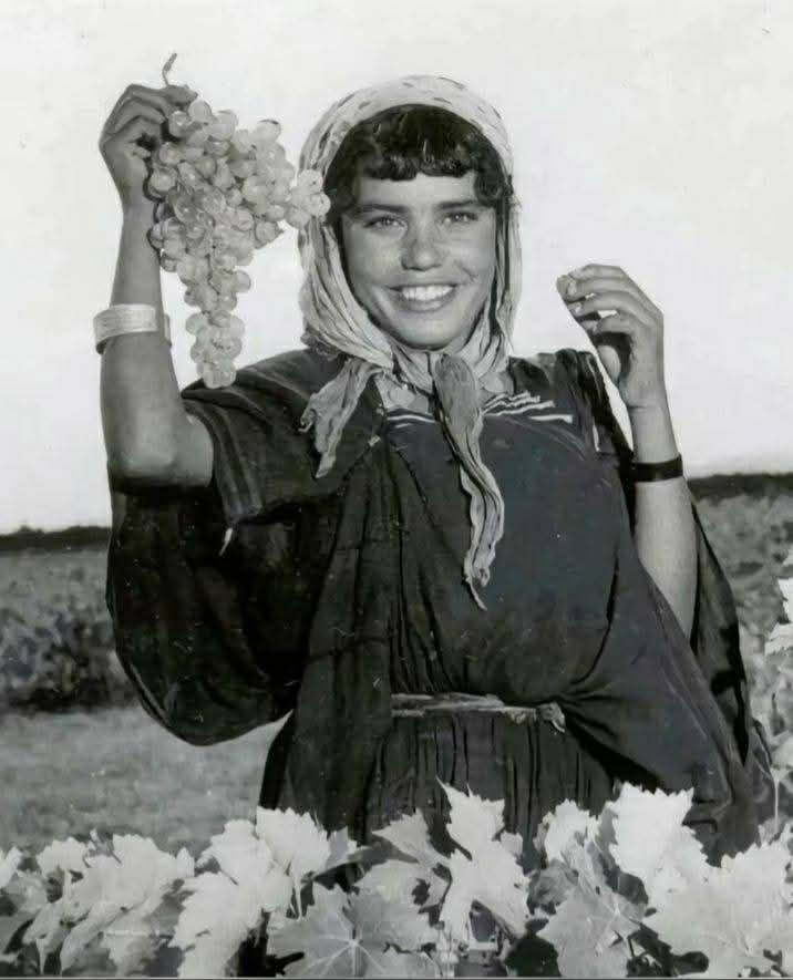 MENA Visuals tweet media