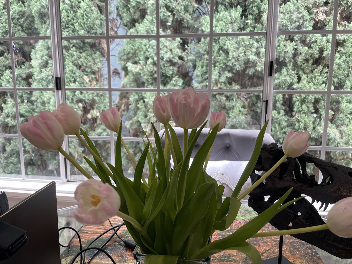 Charlotte Stokely 🐝 tweet media