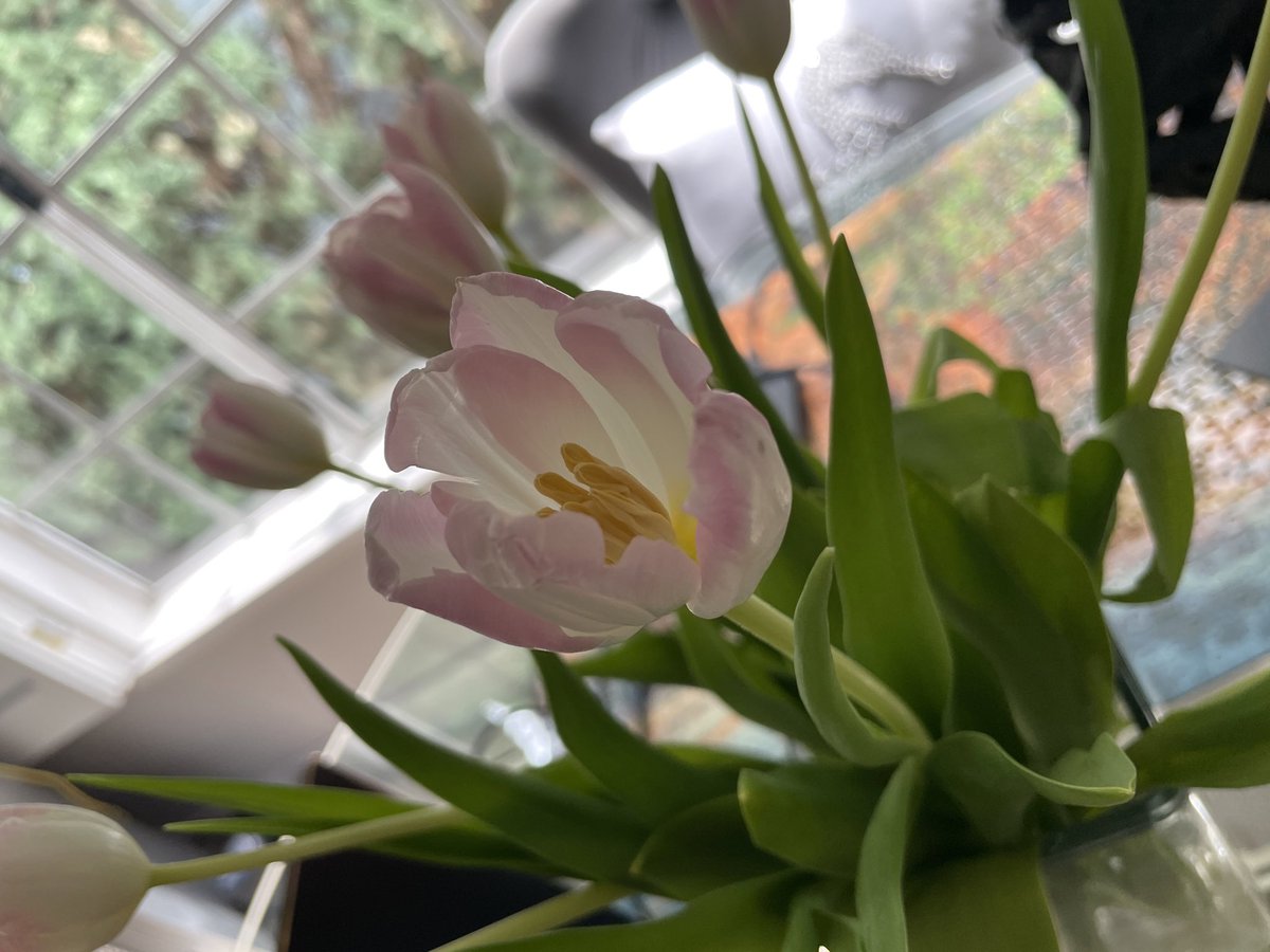 Charlotte Stokely 🐝 tweet media