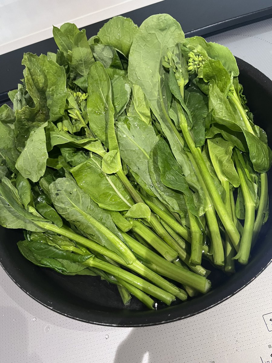 ごまごま♡🪴楽天ルーム tweet media