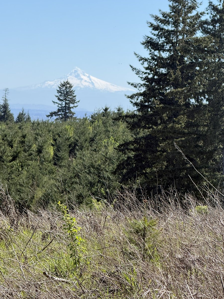 Charlie Collier tweet media