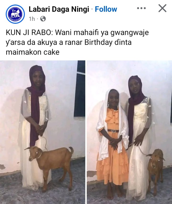 Mujahid Saleh Saad tweet media