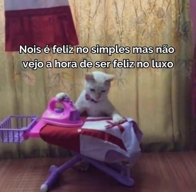 𝖚𝖘𝖚𝖆𝖗𝖎𝖔 𝖓𝖔𝖛𝖔 ㋡ tweet media