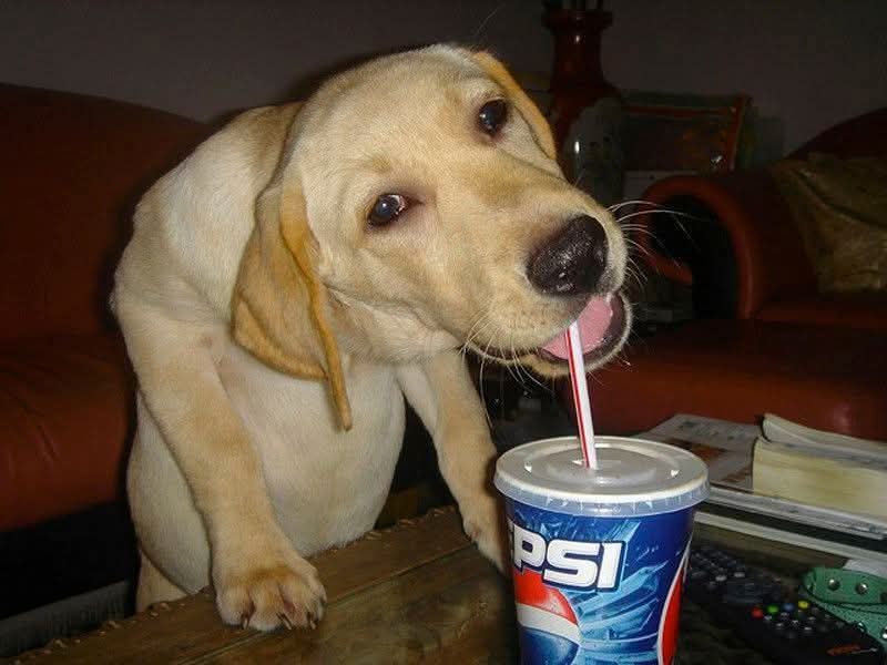 ✏️Alter Mask✏️ tweet media