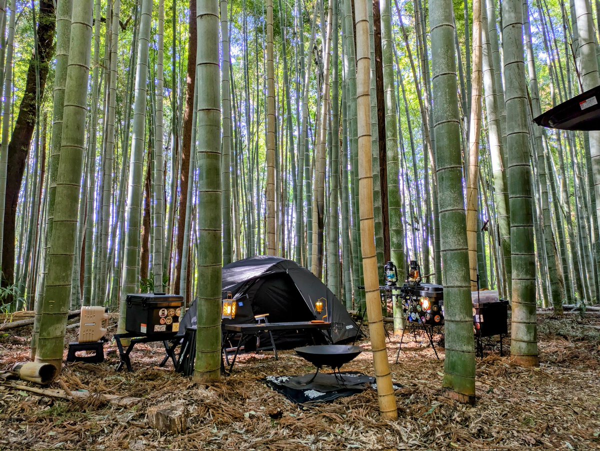 Takuro@CAMP tweet media