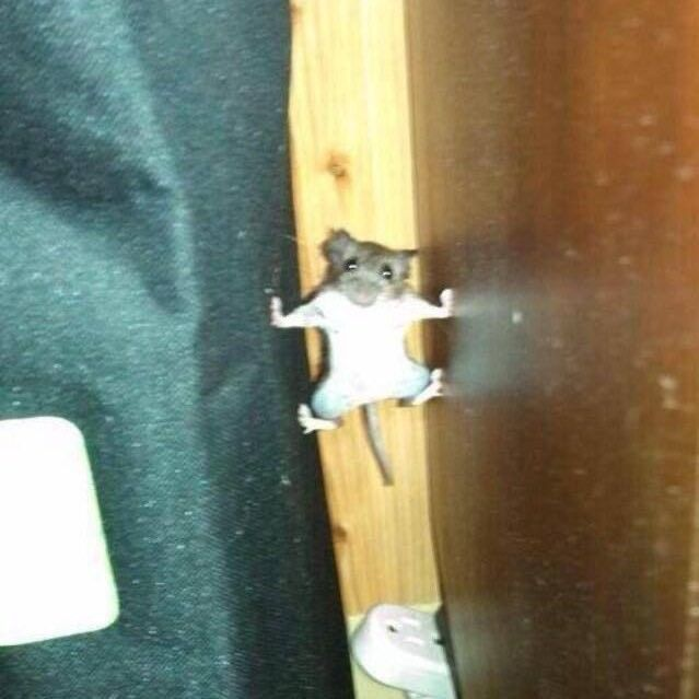 enfin ??? healing era tweet media