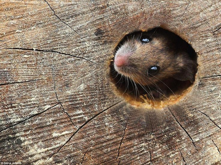 enfin ??? healing era tweet media