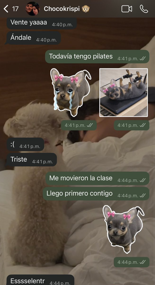 cabrera_monse's tweet photo. Amo los stickers que uso para hablar con mi precioso ♥️ https://t.co/h3FjxVcOyL