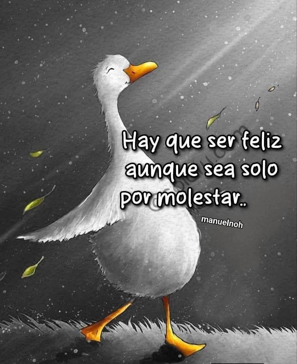 Tremenda tweet media