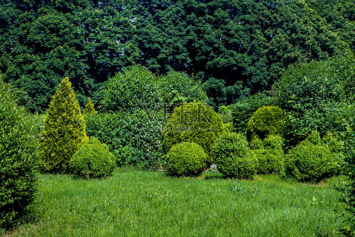 jose luis barrios av tweet media