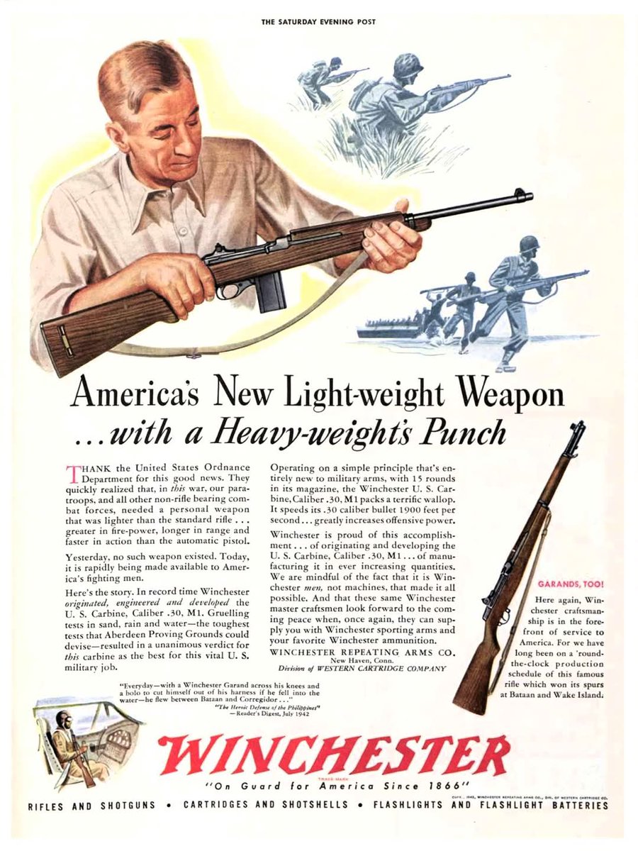 ℕ𝕖𝕠𝕟 𝕎𝕚𝕝𝕕𝕖𝕣𝕟𝕖𝕤𝕤 🪖🚬 tweet media