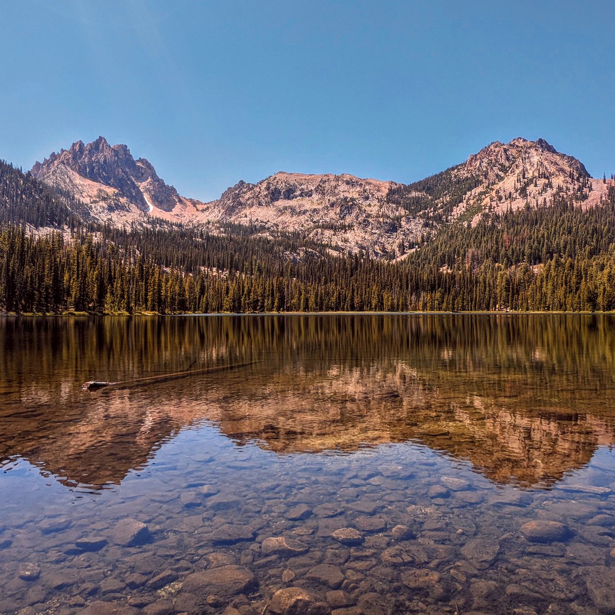 altmoral's tweet image. Change can be good, politicians are almost always bad.

Don't lose focus on what's important. 

The people in the communities that border these sacred spaces are the biggest preservationists, conservationalists, recreation protectors &amp;amp; wildlife advocates in the world.

#USFS