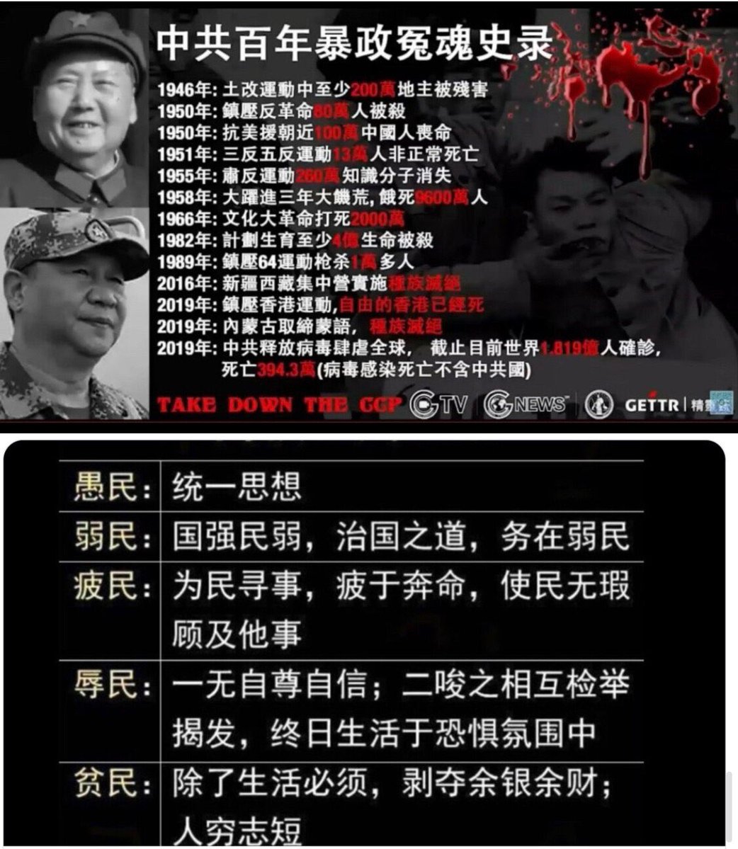 Forestcui07 tweet media