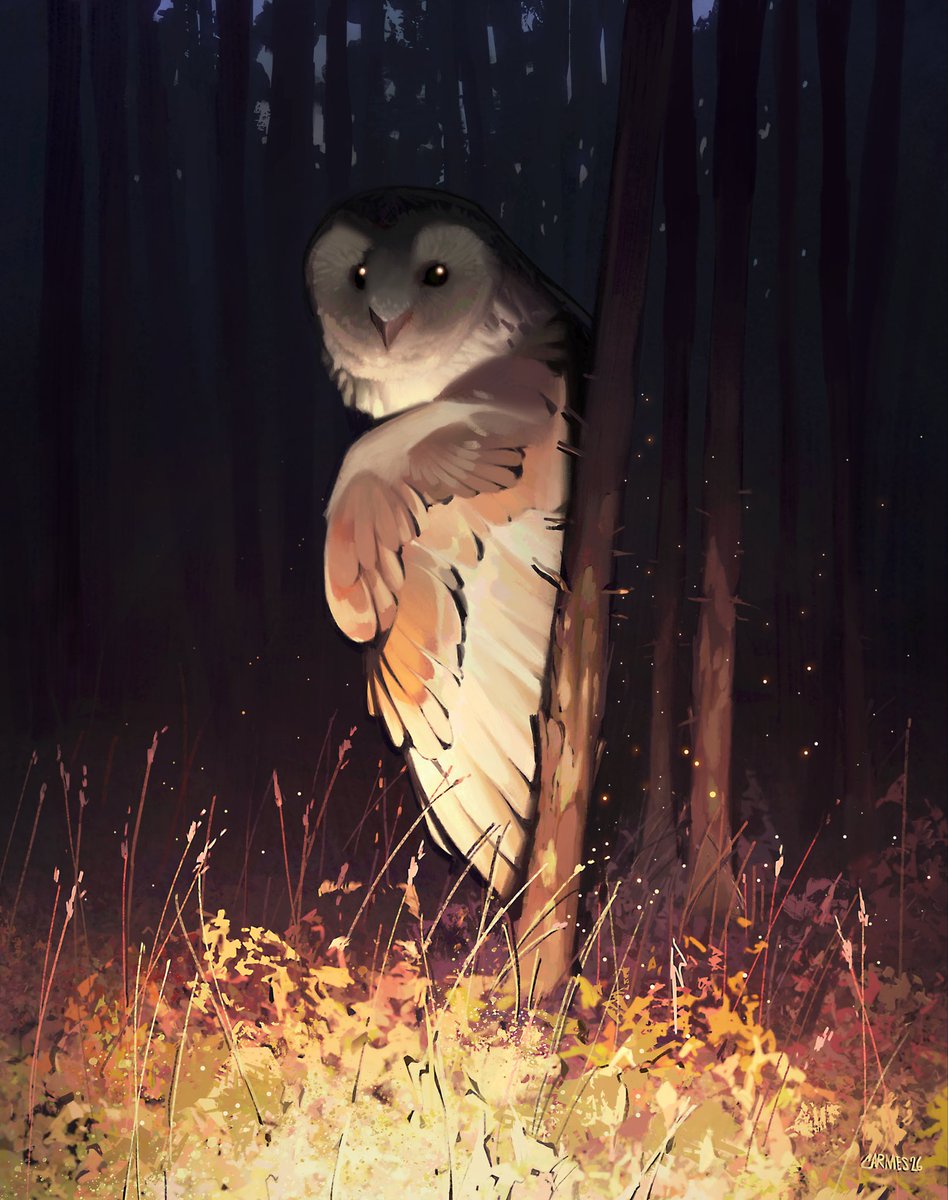 jocelin carmes tweet media