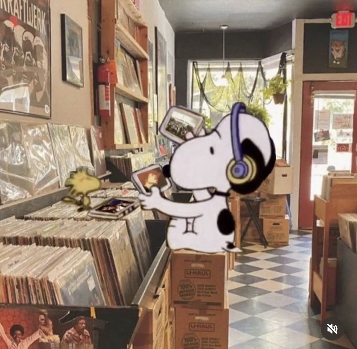 Dj Satin tweet media