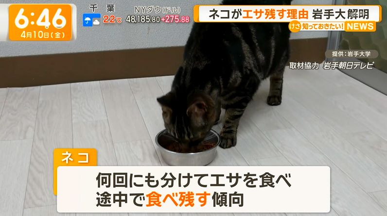 ゆるふわ怪電波☆埼玉 tweet media