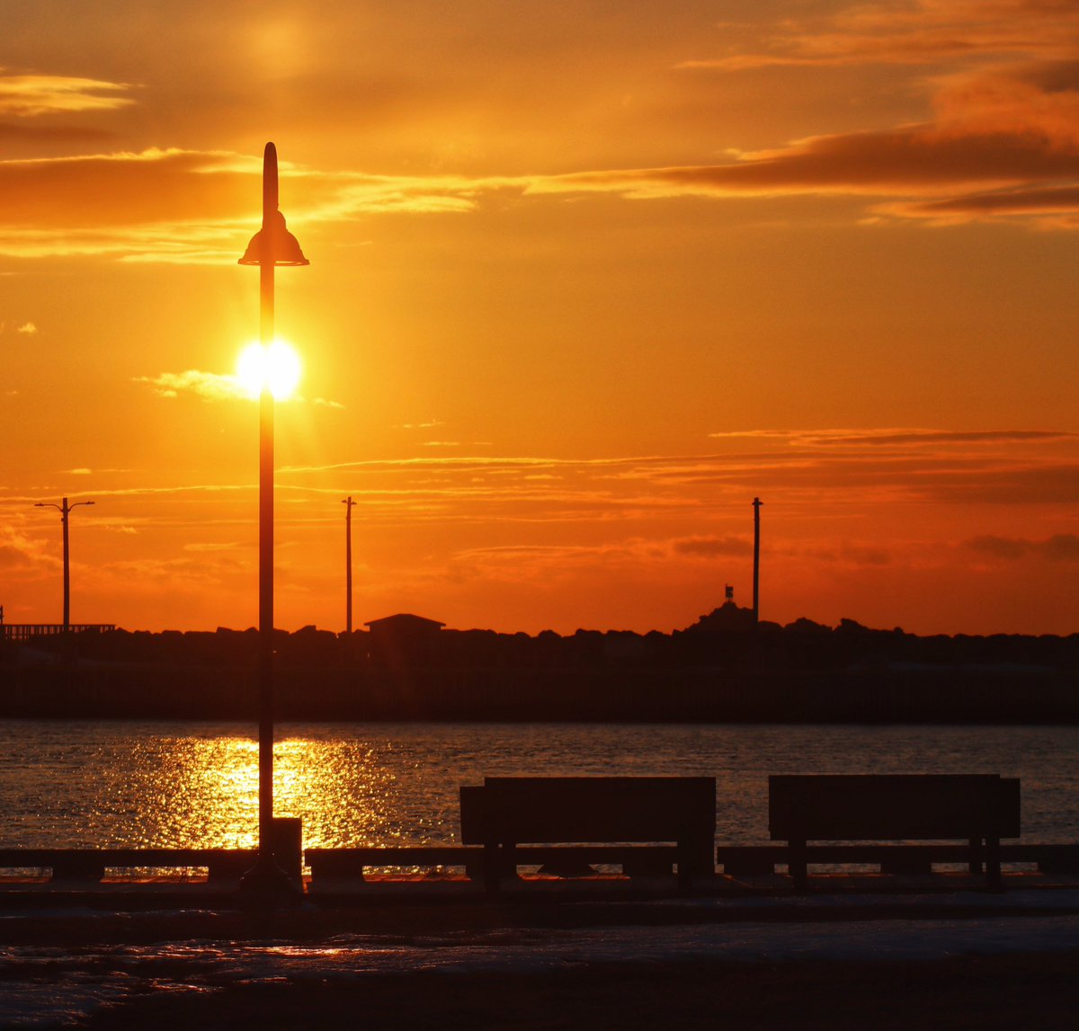 🇨🇦 tweet media