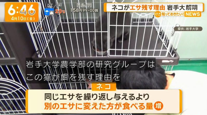 ゆるふわ怪電波☆埼玉 tweet media