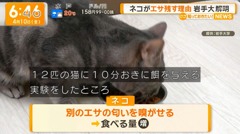 ゆるふわ怪電波☆埼玉 tweet media