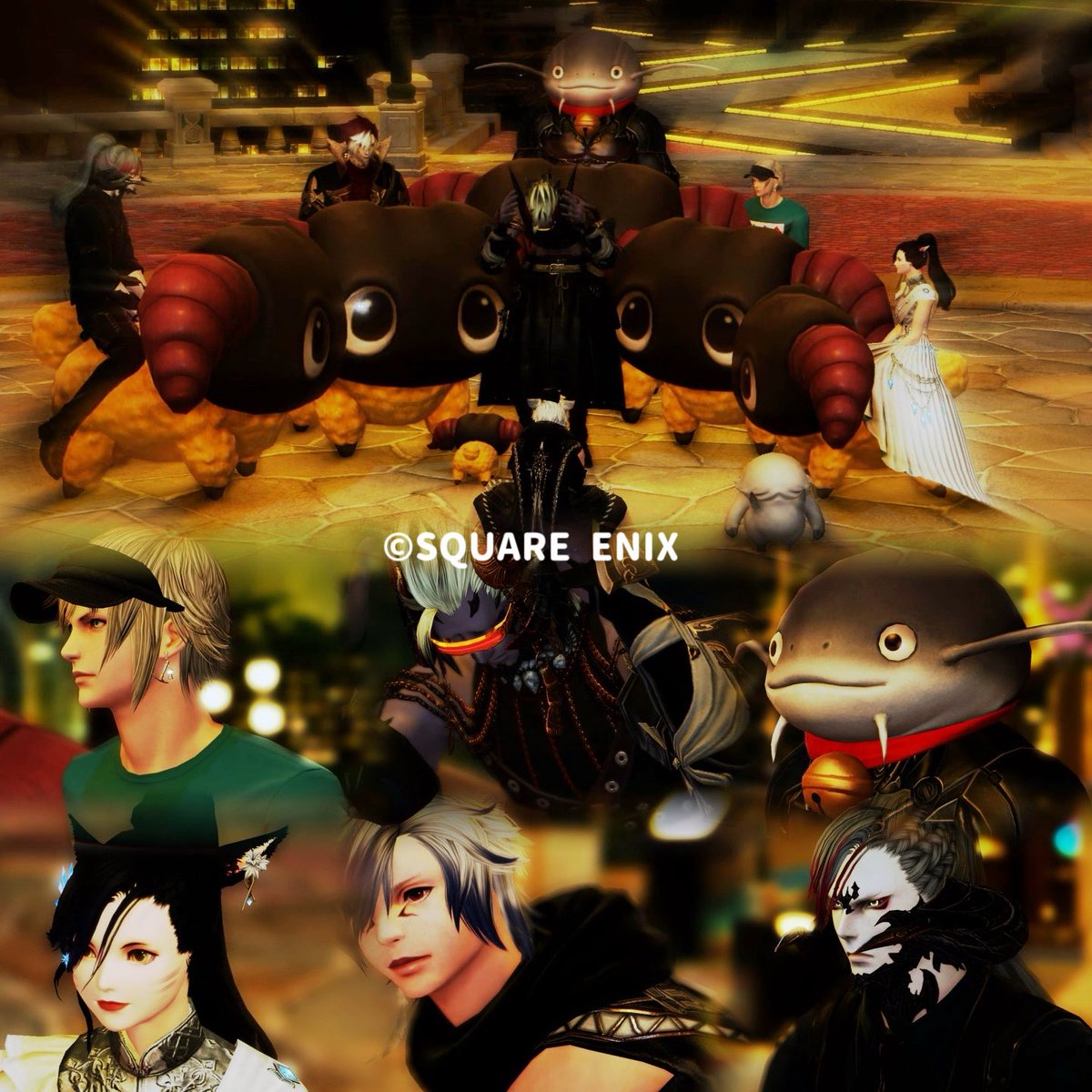 Kai@さくらば🌸 tweet media