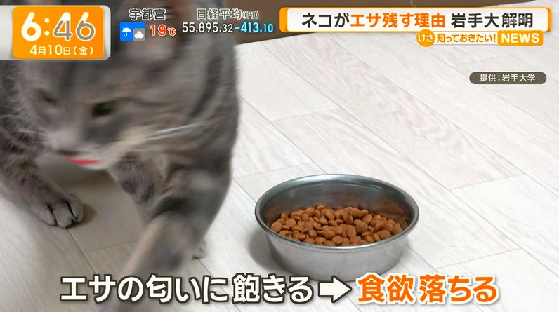 ゆるふわ怪電波☆埼玉 tweet media