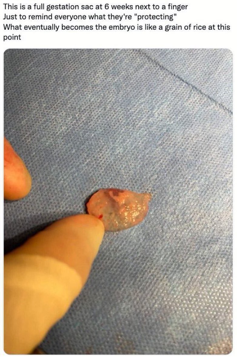 No Nonsense tweet media