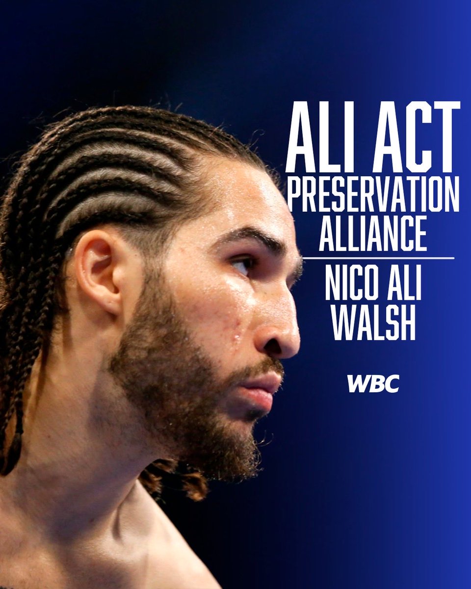 World Boxing Council tweet media