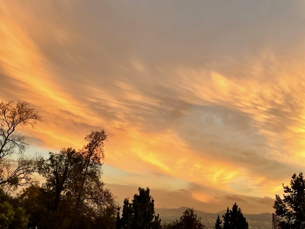 ✈️ Patty Asulep tweet media