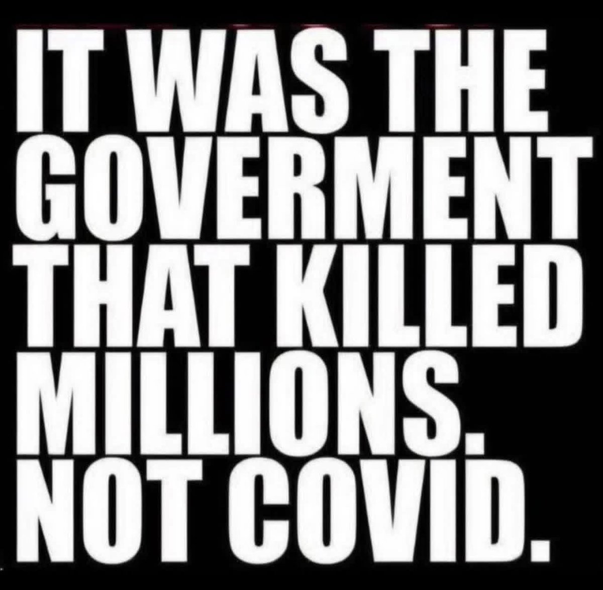 Luiz M.D. tweet media