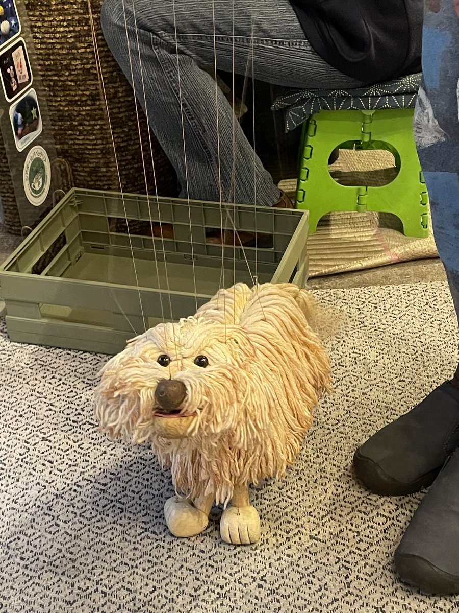 保山ひャン🍓🍭 tweet media