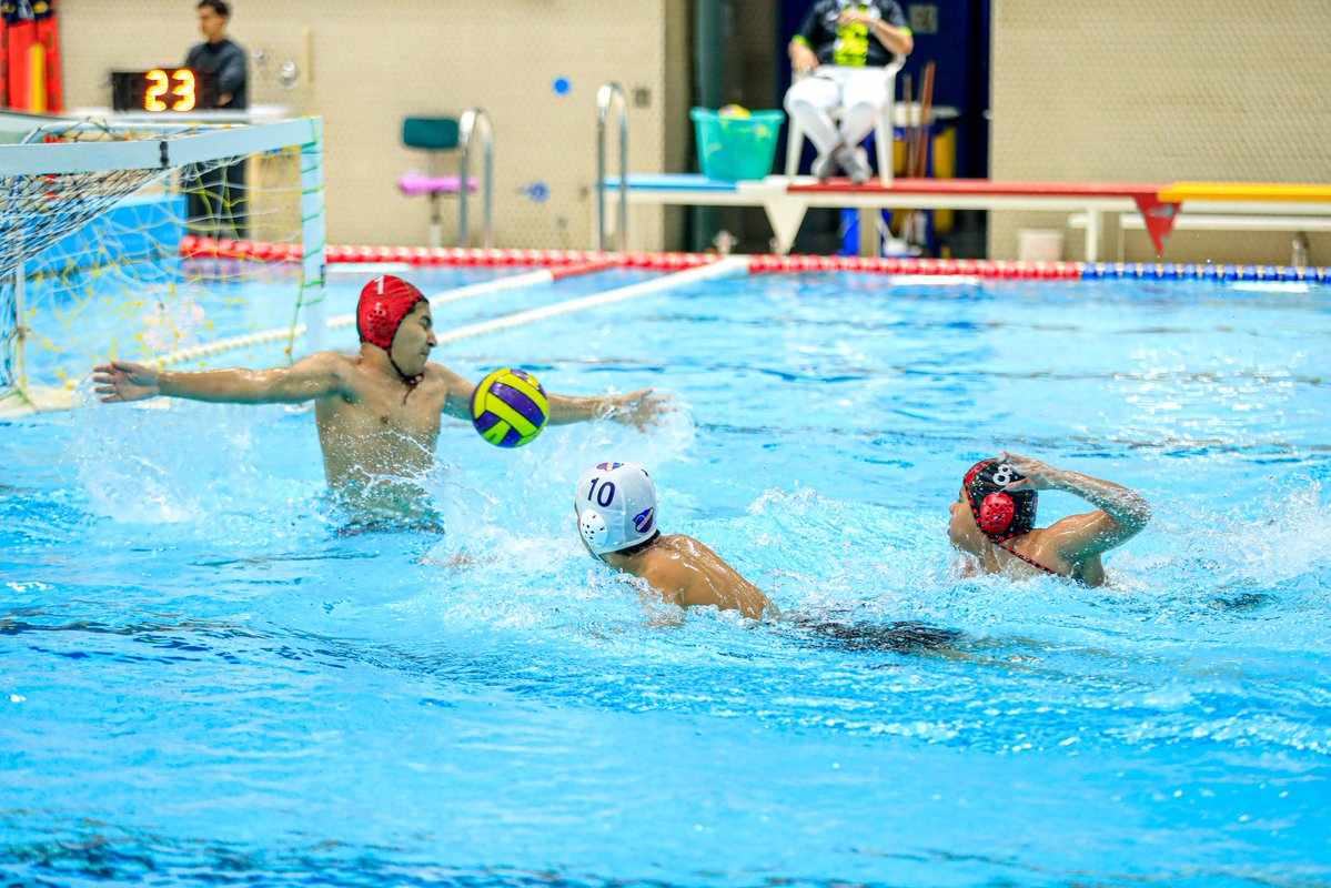 الاتحاد السعودي للسباحة tweet media