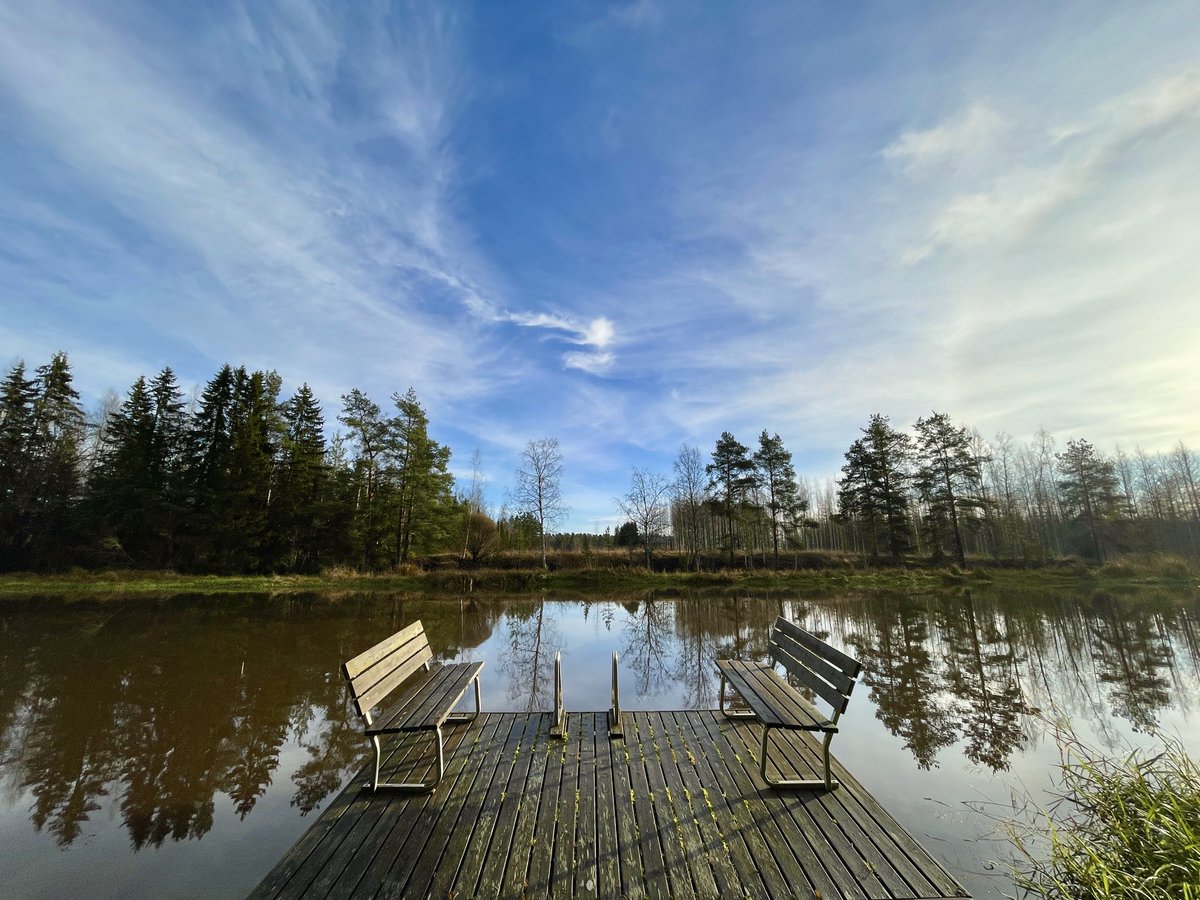 ✈️ Patty Asulep tweet media