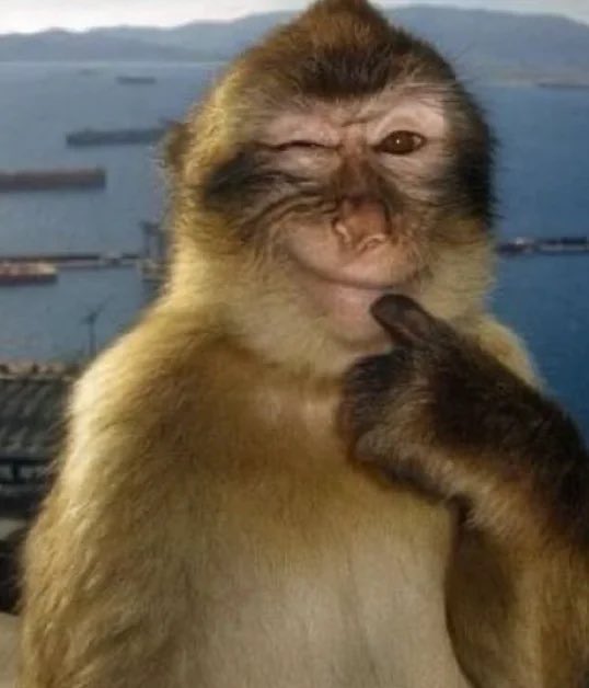 لُجين tweet media