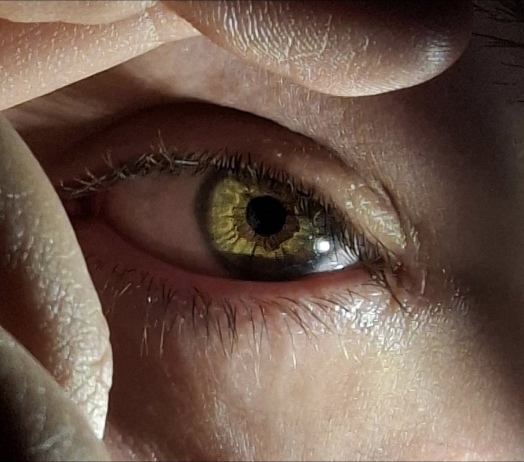 Willow/Mia 🏳️⚧️ tweet media