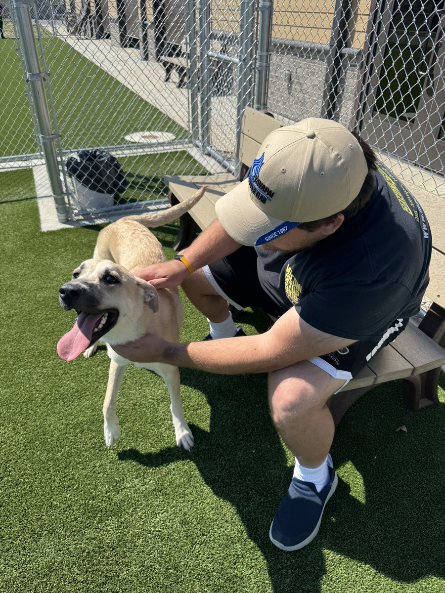 Jeff Maconi tweet media