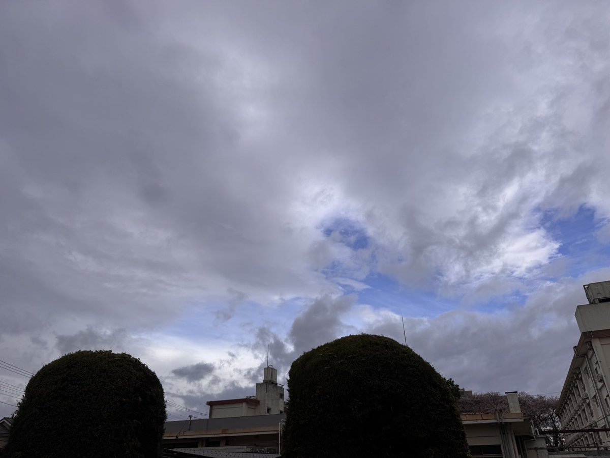 桜小路 tweet media