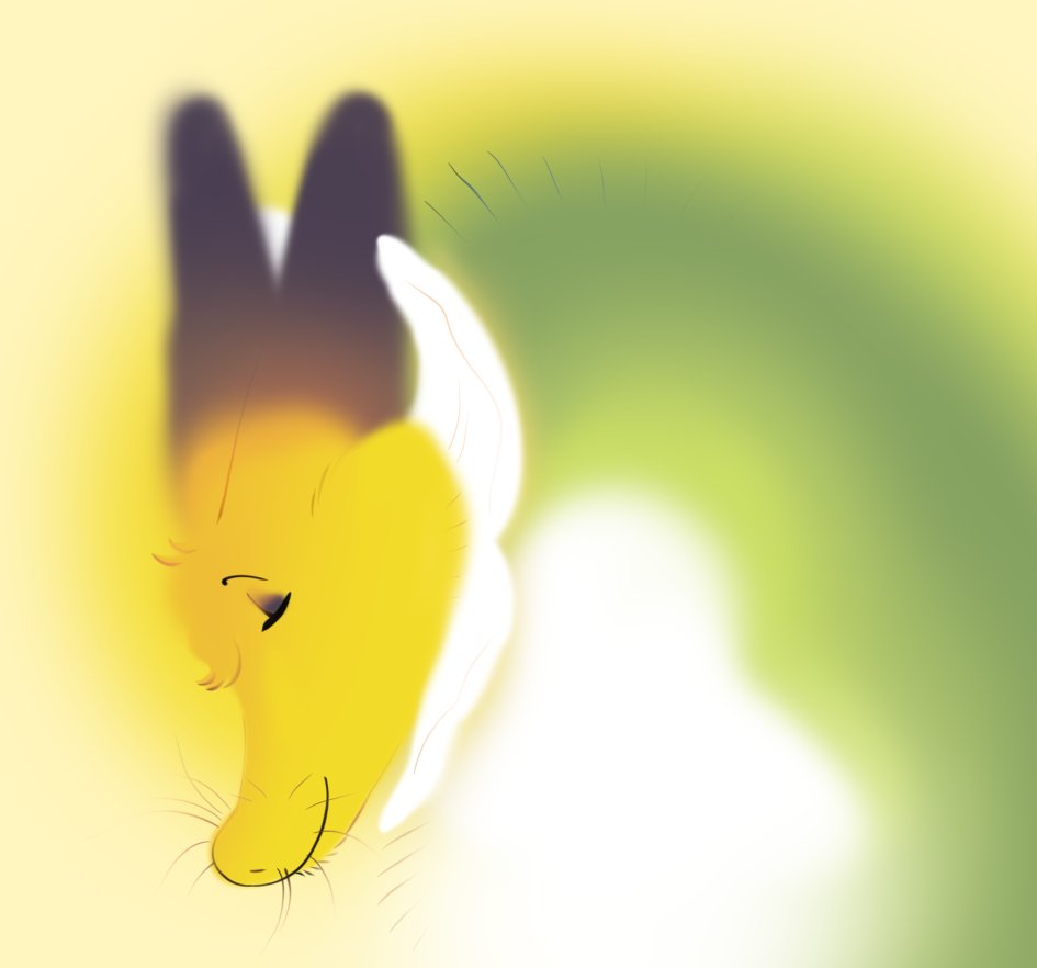 🦎 Entity 🌼 tweet media
