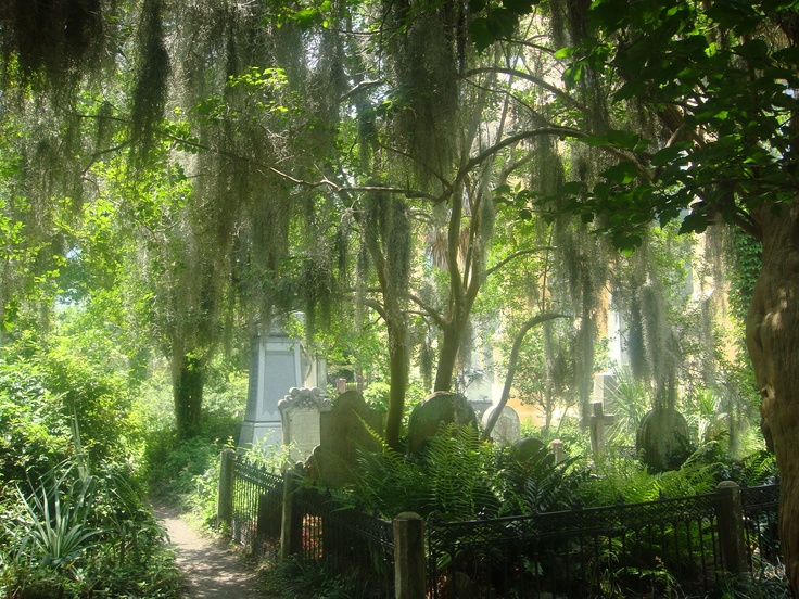 𝒩𝒶𝓉𝒶𝓁𝒾𝒶 tweet media