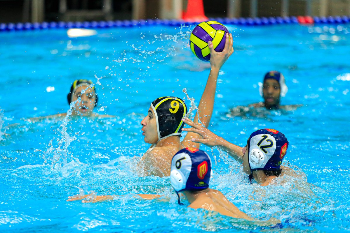 الاتحاد السعودي للسباحة tweet media