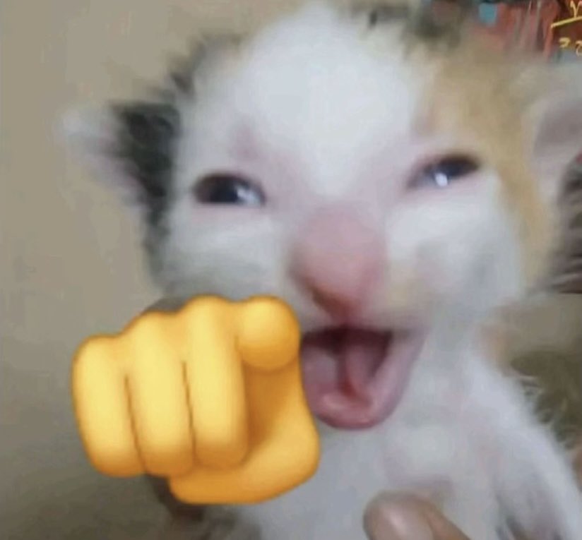 Eltarnsito's tweet photo. @xKatlyne Mejor nadota mi kat https://t.co/s3Dns7jPY5