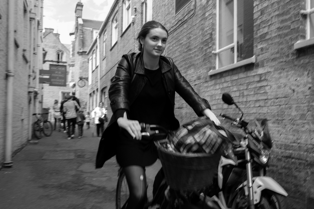 Dave Webb tweet media