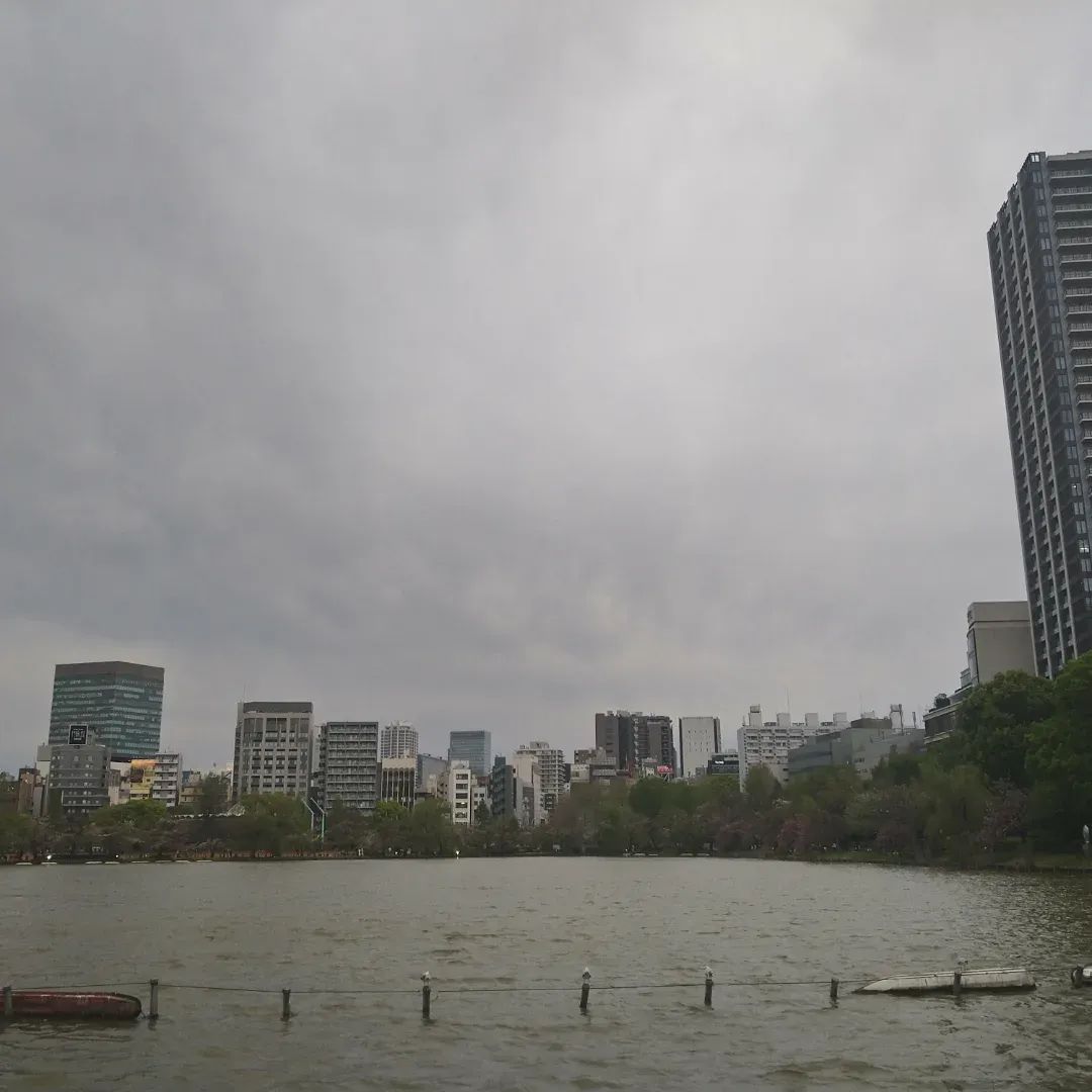 お父さん＠へでな士事務所 tweet media