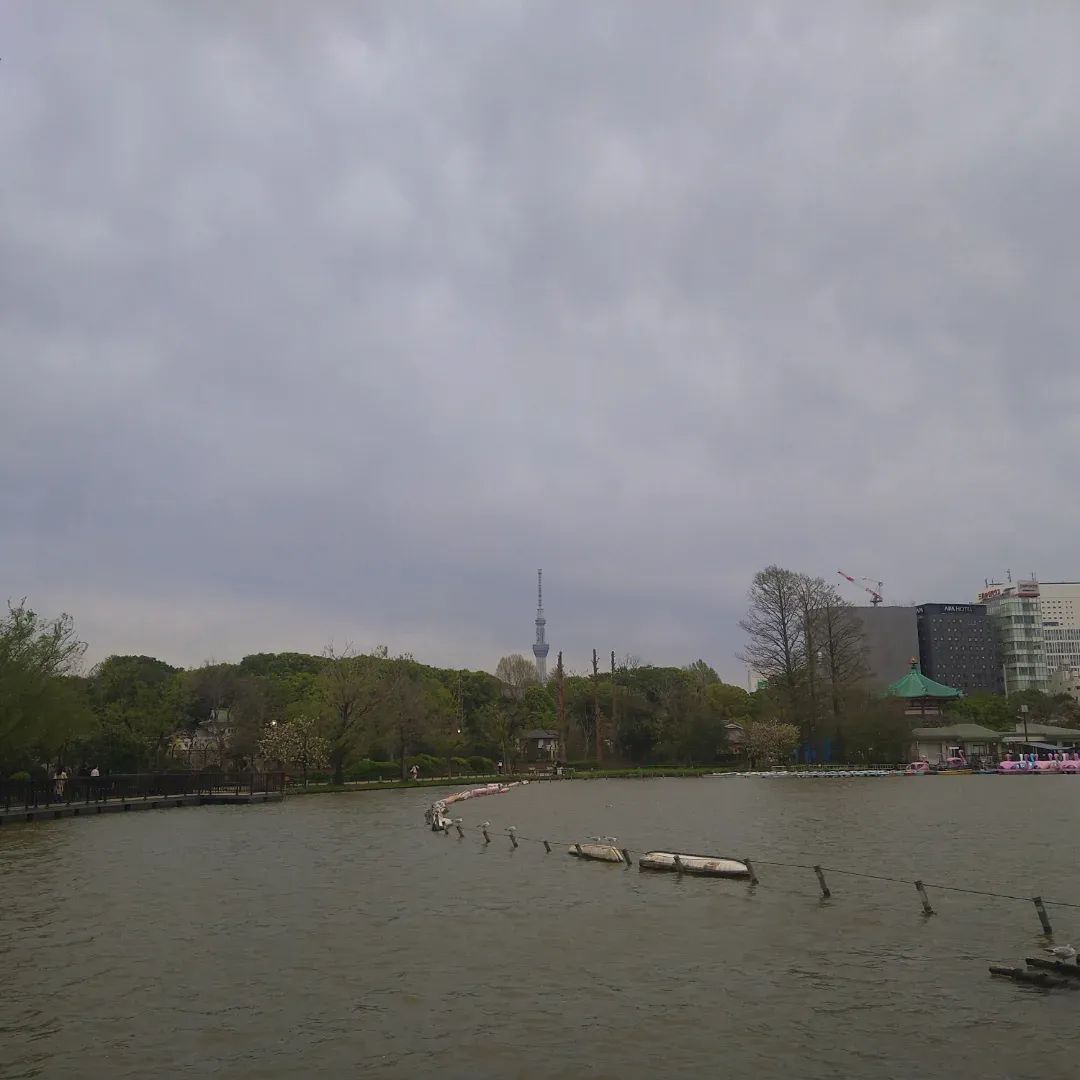 お父さん＠へでな士事務所 tweet media