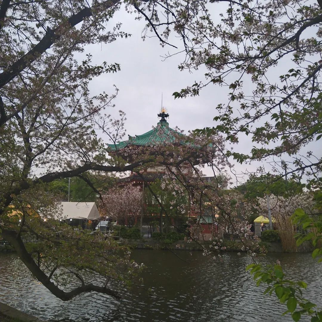 お父さん＠へでな士事務所 tweet media