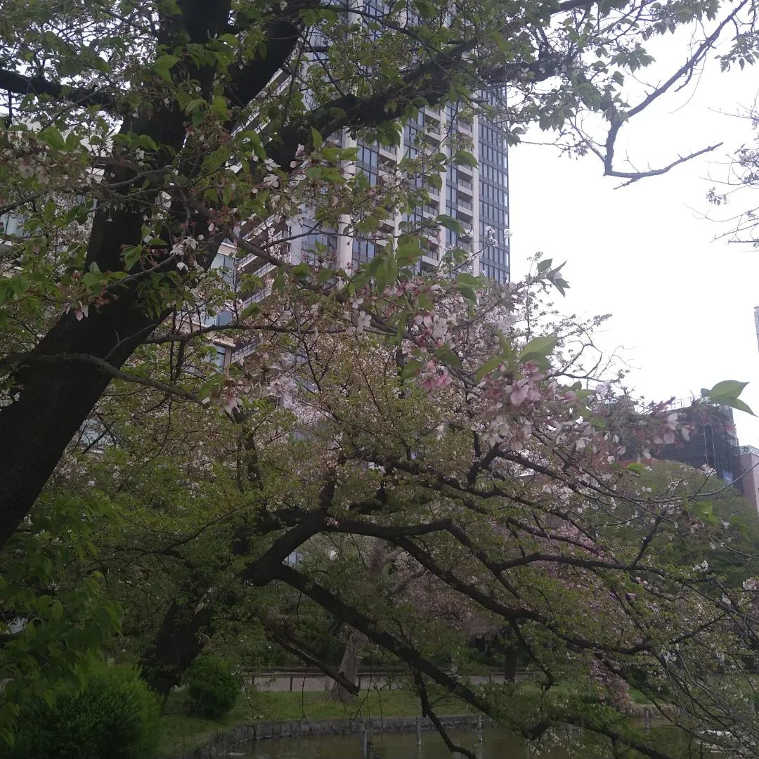 お父さん＠へでな士事務所 tweet media