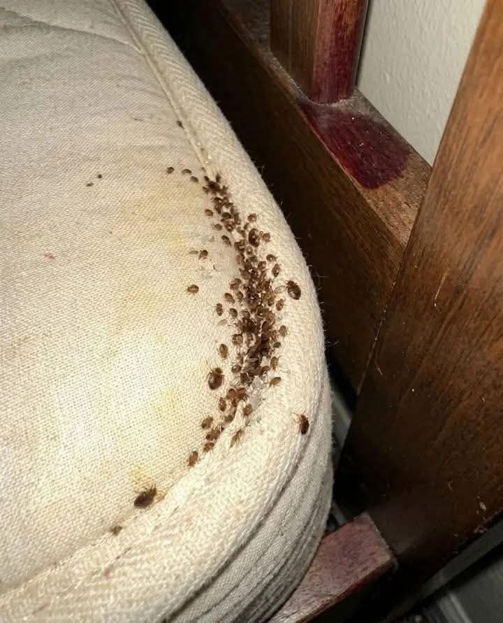 Tinasexy tweet media