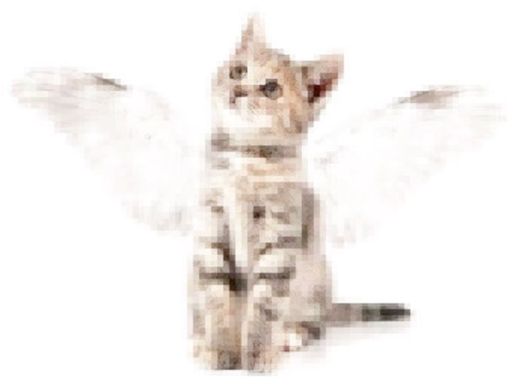 fudilami 🐌 tweet media