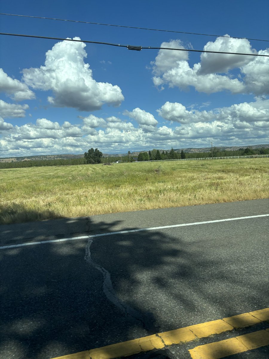 Aurora 🇺🇲 tweet media