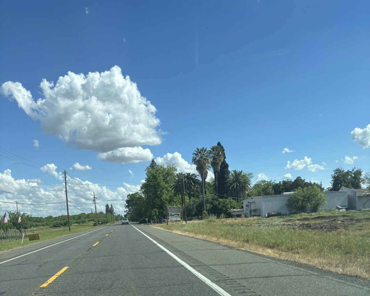 Aurora 🇺🇲 tweet media